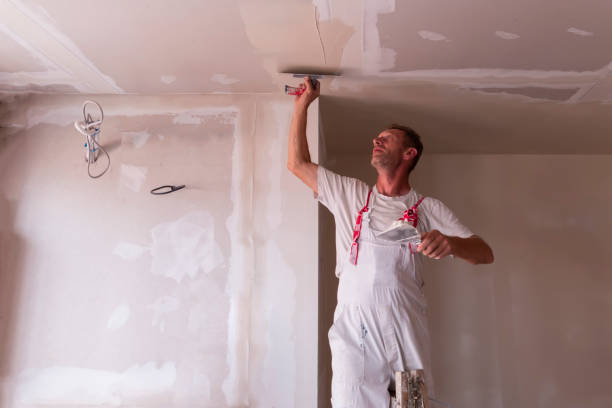 Best Drywall Patching  in Westport, IN